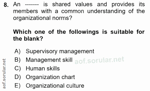 8. soru: An - is shared values and provides its members with a common understanding of the organizational norms? Which one of…