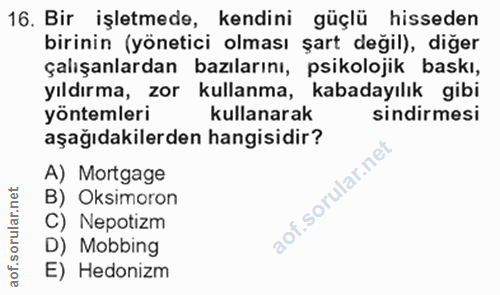 16. soru: Bir işletmede, kendini güçlü hisseden birinin (yönetici olması şart değil), diğer çalışanlardan bazılarını, psikoloji…
