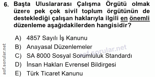 6. soru: Başta Uluslararası Çalışma Örgütü olmak üzere pek çok sivil toplum örgütünün de desteklediği çalışan haklarıyla ilgil…
