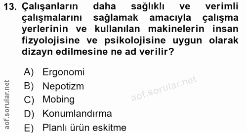 13. soru: Çalışanların daha sağlıklı ve verimli çalışmalarını sağlamak amacıyla çalışma yerlerinin ve kullanılan makinelerin in…