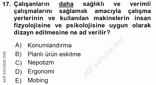 17. soru: Çalışanların daha sağlıklı ve verimli çalışmalarını sağlamak amacıyla çalışma yerlerinin ve kullanılan makinelerin in…
