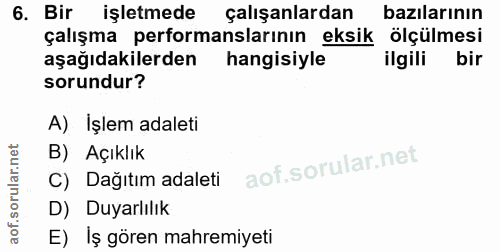 6. soru: Bir işletmede çalışanlardan bazılarının çalışma performanslarının eksik ölçulmesi aşağıdakilerden hangisiyle ilgili b…