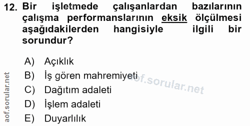 12. soru: Bir işletmede çalışanlardan bazılarının çalışma performanslarının eksik ölçülmesi aşağıdakilerden hangisiyle ilgili b…