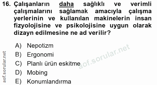 16. soru: Çalışanların daha sağlıklı ve verimli çalışmalarını sağlamak amacıyla çalışma yerlerinin ve kullanılan makinelerin in…