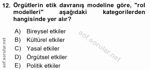12. soru: Örgütlerin etik davranış modeline göre, "rol modelleri" aşağıdaki kategorilerden hangisinde yer alır? A) Bireysel etk…