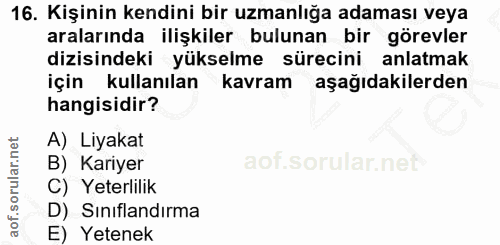 16. soru: Kişinin kendini bir uzmanlığa adaması veya aralarında ilişkiler bulunan bir görevler dizisindeki yükselme sürecini an…