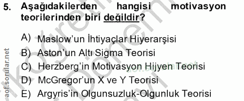 5. soru: Aşağıdakilerden hangisi motivasyon teorilerinden biri değildir? A) Maslow'un İhtiyaçlar Hiyerarşisi B) Aston'un Altı…