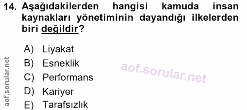 14. soru: Aşağıdakilerden hangisi kamuda insan kaynakları yönetiminin dayandığı ilkelerden biri değildir? A) Liyakat B) Esnekli…
