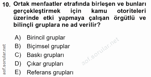 10. soru: Ortak menfaatler etrafında birleşen ve bunları gerçekleştirmek için kamu otoriteleri üzerinde etki yapmaya çalışan ör…