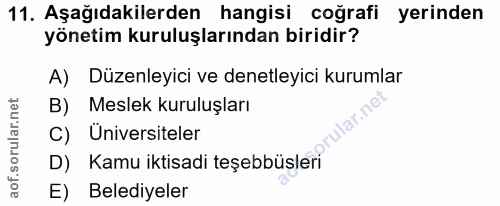 11. soru: Aşağıdakilerden hangisi coğrafi yerinden yönetim kuruluşlarından biridir? A) Düzenleyici ve denetleyici kurumlar B) M…