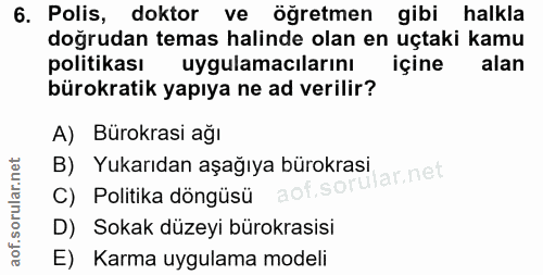 6. soru: Polis, doktor ve öğretmen gibi halkla doğrudan temas halinde olan en uçtaki kamu politikası uygulamacilarini içine al…