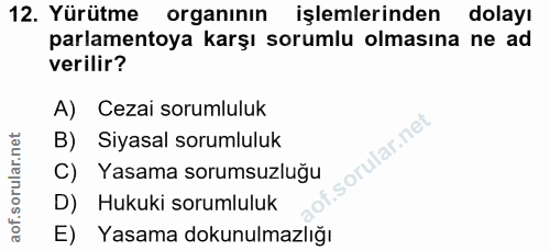 12. soru: Yürütme organının işlemlerinden dolayı parlamentoya karşı sorumlu olmasına ne ad verilir? A) Cezai sorumluluk B) Siya…