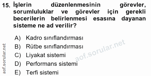 15. soru: İşlerin düzenlenmesinin görevler, sorumluluklar ve görevler için gerekli becerilerin belirlenmesi esasına dayanan sis…