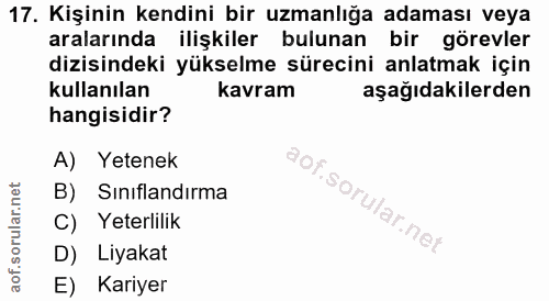 17. soru: Kişinin kendini bir uzmanlığa adaması veya aralarında ilişkiler bulunan bir görevler dizisindeki yükselme sürecini an…