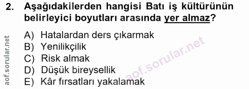 2. soru: Aşağıdakilerden hangisi Batı iş kültürünün belirleyici boyutları arasında yer almaz? A) Hatalardan ders çıkarmak B) Y…