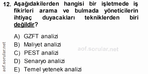 12. soru: Aşağıdakilerden hangisi bir işletmede iş fikirleri arama ve bulmada yöneticilerin ihtiyaç duyacakları tekniklerden bi…