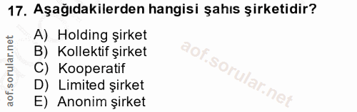 17. soru: Aşağıdakilerden hangisi şahıs şirketidir? A) Holding şirket B) Kollektif şirket C) Kooperatif D) Limited şirket E) An…
