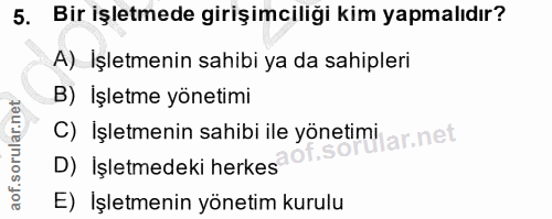 5. soru: Bir işletmede girişimciliği kim yapmalıdır? A) Işletmenin sahibi ya da sahipleri B) İşletme yönetimi C) İşletmenin sa…