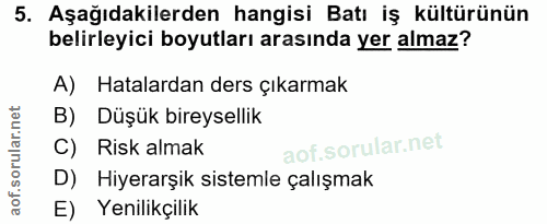 5. soru: Aşağıdakilerden hangisi Batı iş kültürünün belirleyici boyutları arasında yer almaz? A) Hatalardan ders çıkarmak B) D…