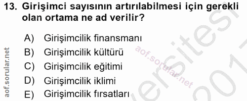 13. soru: Girişimci sayısının artırılabilmesi için gerekli olan ortama ne ad verilir? A) Girişimcilik finansmanı B) Girişimcili…