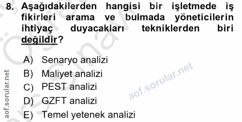 8. soru: Aşağıdakilerden hangisi bir işletmede iş fikirleri arama ve bulmada yöneticilerin ihtiyaç duyacakları tekniklerden bi…