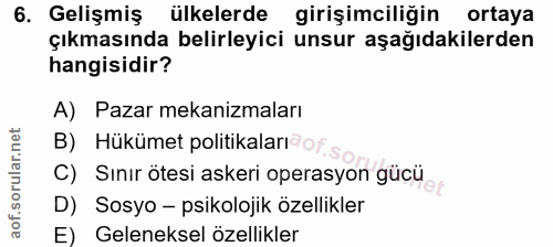 6. soru: Gelişmiş ülkelerde girişimciliğin ortaya çıkmasında belirleyici unsur aşağıdakilerden hangisidir? A) Pazar mekanizmal…