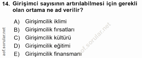 14. soru: Girişimci sayısının artırılabilmesi için gerekli olan ortama ne ad verilir? A) Girişimcilik iklimi B) Girişimcilik fı…
