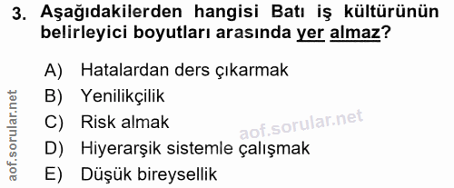 3. soru: Aşağıdakilerden hangisi Batı iş kültürünün belirleyici boyutları arasında yer almaz? A) Hatalardan ders çıkarmak B) Y…