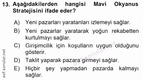 13. soru: Aşağıdakilerden hangisi Mavi Okyanus Stratejisini ifade eder? A) Yeni pazarları yaratanları izlemeyi sağlar. B) Yeni…