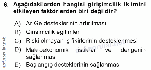 6. soru: Aşağıdakilerden hangisi girişimcilik iklimini etkileyen faktörlerden biri değildir? A) Ar-Ge desteklerinin artırılmas…