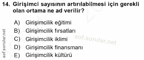 14. soru: Girişimci sayısının artırılabilmesi için gerekli olan ortama ne ad verilir? A) Girişimcilik eğitimi B) Girişimcilik f…