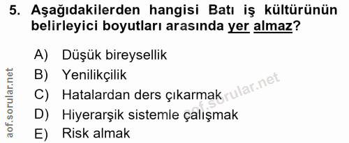 5. soru: Aşağıdakilerden hangisi Batı iş kültürünün belirleyici boyutları arasında yer almaz? A) Düşük bireysellik B) Yenilikç…