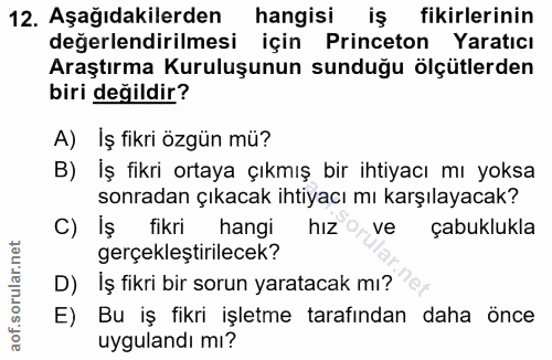 12. soru: Aşağıdakilerden hangisi iş fikirlerinin değerlendirilmesi için Princeton Yaratıcı Araştırma Kuruluşunun sunduğu ölçüt…