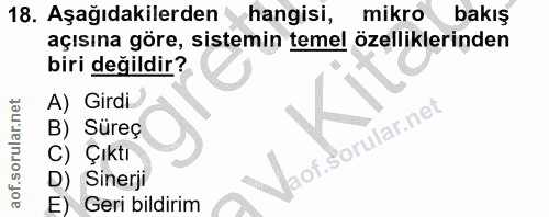 18. soru: Aşağıdakilerden hangisi, mikro bakış açısına göre, sistemin temel özelliklerinden biri değildir? A) Girdi. B) Süreç C…