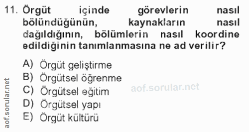 11. soru: Örgüt içinde görevlerin nasıl bölündüğünün, kaynakların nasıl dağıldığının, bölümlerin nasıl koordine edildiginin tan…
