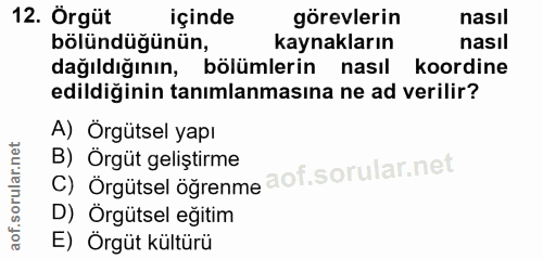 12. soru: Örgüt içinde görevlerin nasıl bölündüğünün, kaynakların nasıl dağıldığının, bölümlerin nasıl koordine edildiğinin tan…