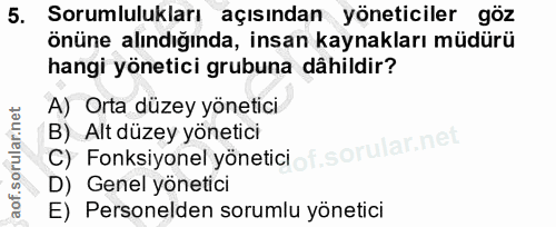 5. soru: Sorumlulukları açısından yöneticiler göz önüne alındığında, insan kaynakları müdürü hangi yönetici grubuna dâhildir?…