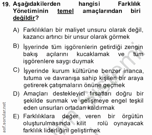 19. soru: Aşağıdakilerden hangisi Farklilık Yönetiminin temel amaçlarından biri değildir? A) Farklılıkları bir maliyet unsuru o…