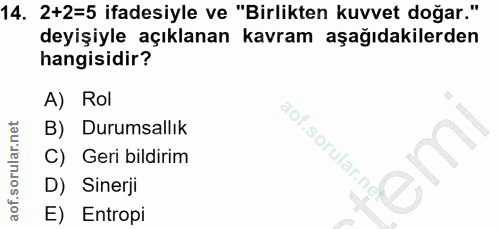 14. soru: 2+2=5 ifadesiyle ve "Birlikten kuvvet doğar." deyişiyle açıklanan kavram aşağıdakilerden hangisidir? A) Rol B) Durums…