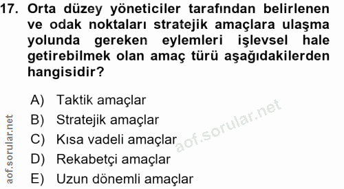 17. soru: Orta düzey yöneticiler tarafından belirlenen ve odak noktaları stratejik amaçlara ulaşma yolunda gereken eylemleri iş…