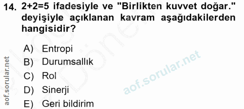 14. soru: 2+2=5 ifadesiyle ve "Birlikten kuvvet doğar." deyişiyle açıklanan kavram aşağıdakilerden hangisidir? A) Entropi B) Du…
