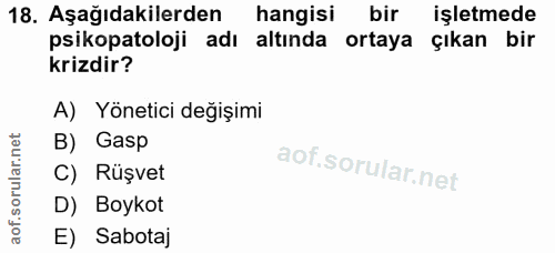 18. soru: Aşağıdakilerden hangisi bir işletmede psikopatoloji adı altinda ortaya çıkan bir krizdir? A) Yönetici değişimi B) Gas…