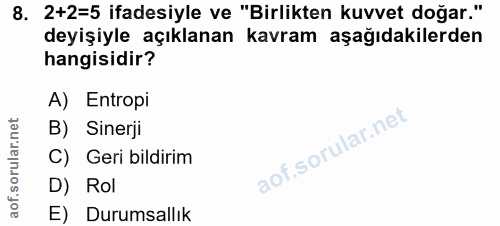 8. soru: 2+2=5 ifadesiyle ve "Birlikten kuvvet doğar." deyişiyle açıklanan kavram aşağıdakilerden hangisidir? A) Entropi B) Si…