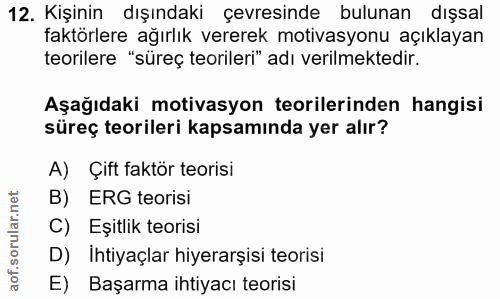 12. soru: Kişinin dışındaki çevresinde bulunan dışsal faktörlere ağırlık vererek motivasyonu açıklayan teorilere "süreç teorile…