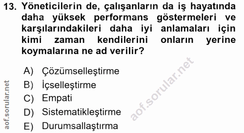 13. soru: Yöneticilerin de, çalışanların da iş hayatında daha yüksek performans göstermeleri ve karşılarındakileri daha iyi anl…