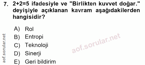 7. soru: 2+2=5 ifadesiyle ve "Birlikten kuvvet doğar." deyişiyle açıklanan kavram aşağıdakilerden hangisidir? A) Rol B) Entrop…