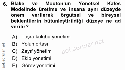 6. soru: Blake ve Mouton'un Yönetsel Kafes Modelinde üretime ve insana aynı düzeyde önem verilerek örgütsel ve bireysel beklen…