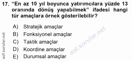 17. soru: "En az 10 yıl boyunca yatırımcılara yüzde 13 oranında dönüş yapabilmek" ifadesi hangi tür amaçlara örnek gösterilebil…