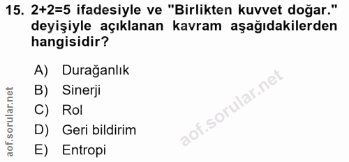 15. soru: 2+2=5 ifadesiyle ve "Birlikten kuvvet doğar." deyişiyle açıklanan kavram aşağıdakilerden hangisidir? A) Durağanlık la…