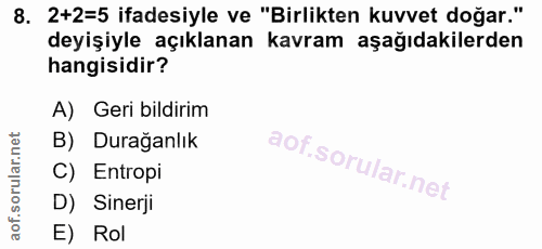 8. soru: 2+2=5 ifadesiyle ve "Birlikten kuvvet doğar." deyişiyle açıklanan kavram aşağıdakilerden hangisidir? A) Geri bildirim…